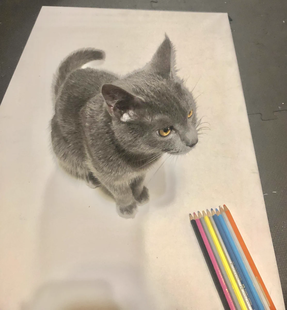 色鉛筆で描いたように見えて？ただ紙の上に乗っているネコwww