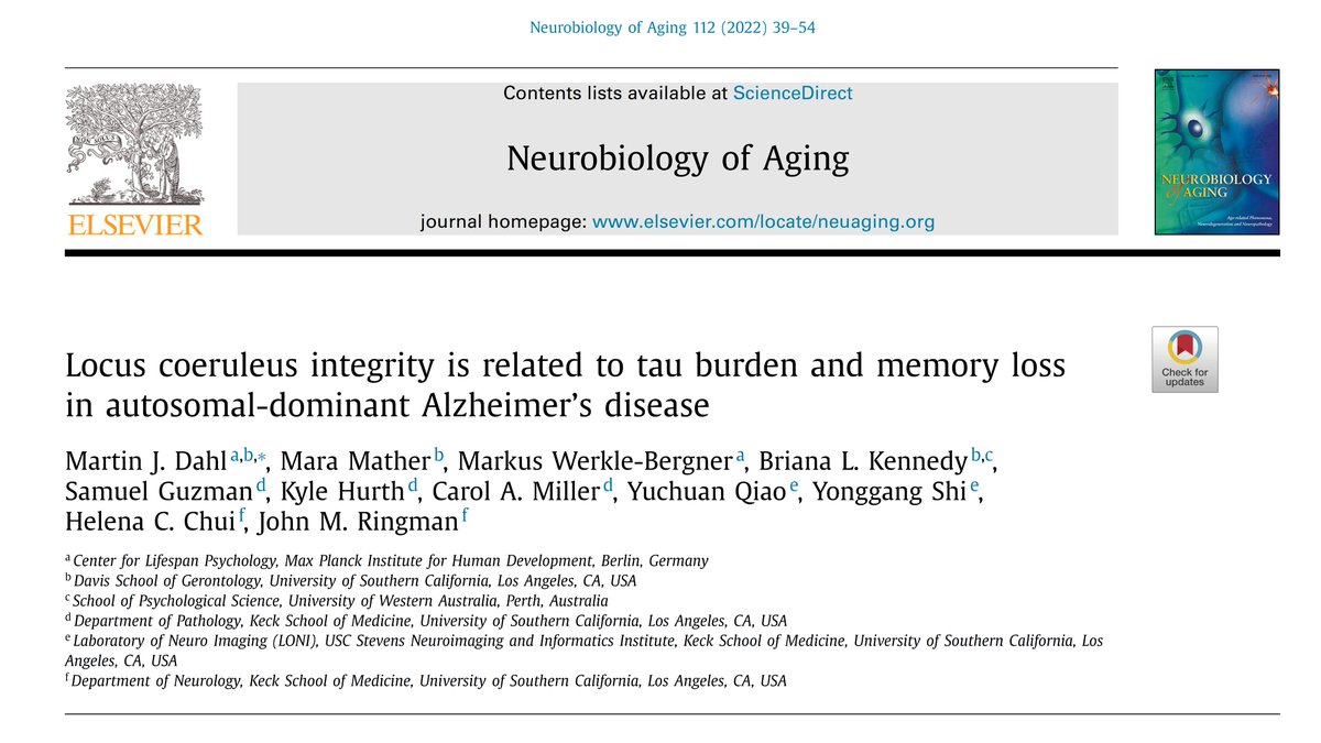 How can we accurately assess the #LocusCoeruleus (LC) using MRI?
We aggregated across published LC maps to derive a high-confidence consensus mask (➡️OSF).
Applying this mask, we demonstrate memory-relevant LC degeneration in early-onset Alzheimer’s, which we verify post-mortem🧵