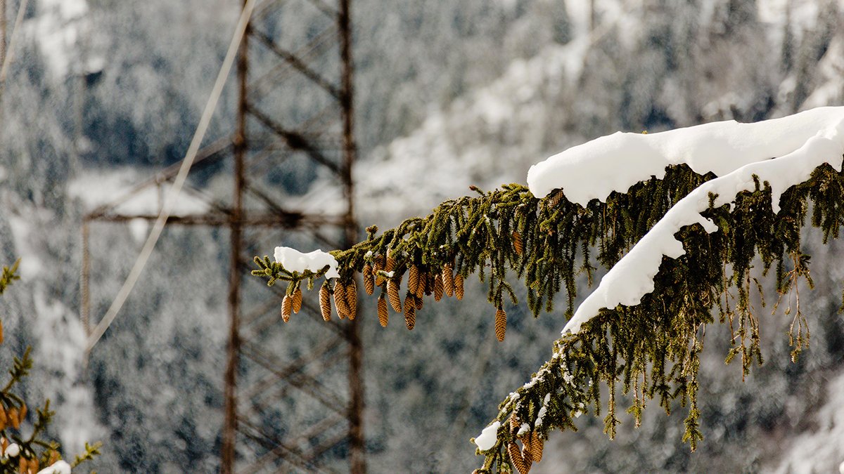 swissgridag's tweet photo. Nous ne sommes pas les seuls à avoir froid, nos lignes aussi peuvent geler. Et elles peuvent même céder. Cet article de blog explique ce que Swissgrid entreprend contre ce problème dans un projet pilote avec @Fraunhofer_IZM et comment cela fonctionne: https://t.co/ffQawR2Wo5 https://t.co/gf4fmIRBCU