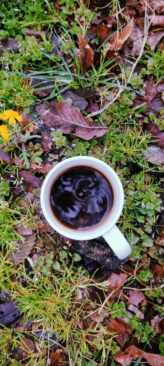 0xNeema's tweet image. Gm 💙 Gm 👋🏻 Gm 🏞️
Coffee is ready. Bring your cup and say hi. 
🫂🥷🏻🙋🏻‍♂️🙋🏽‍♀️
@MetaCafeFam #nftcommunity #metacafe #nfts