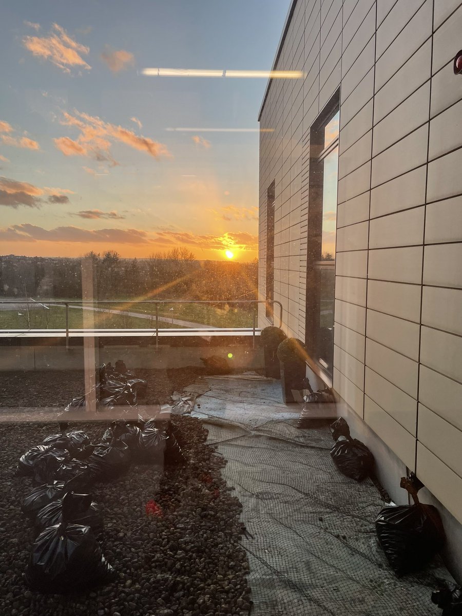Morwenna Maddock (@maddockmorwenna) on Twitter photo And so it begins, work on our rooftop garden. Tonight we had a glimpse of the future, where we can enjoy sunsets with our patients <a href="/NBT_ICU/">Southmead ICU</a>, roll on summer #rehablegend #Wellbeing <a href="/SaraMillin/">Sara Millin π₯π</a> <a href="/valentiencj/">Valentien</a> <a href="/srkelly73/">Sally Kelly</a> And so it begins, work on our rooftop garden. Tonight we had a glimpse of the future, where we can enjoy sunsets with our patients <a href="/NBT_ICU/">Southmead ICU</a>, roll on summer #rehablegend #Wellbeing <a href="/SaraMillin/">Sara Millin π₯π</a> <a href="/valentiencj/">Valentien</a> <a href="/srkelly73/">Sally Kelly</a>