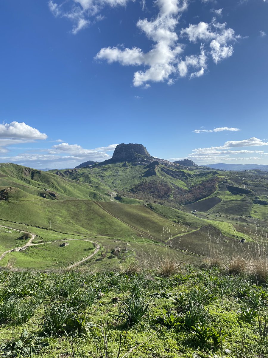 Danny McCubbin tweet media