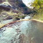 月山もも🍶#ひとり旅本 発売中のツイート画像