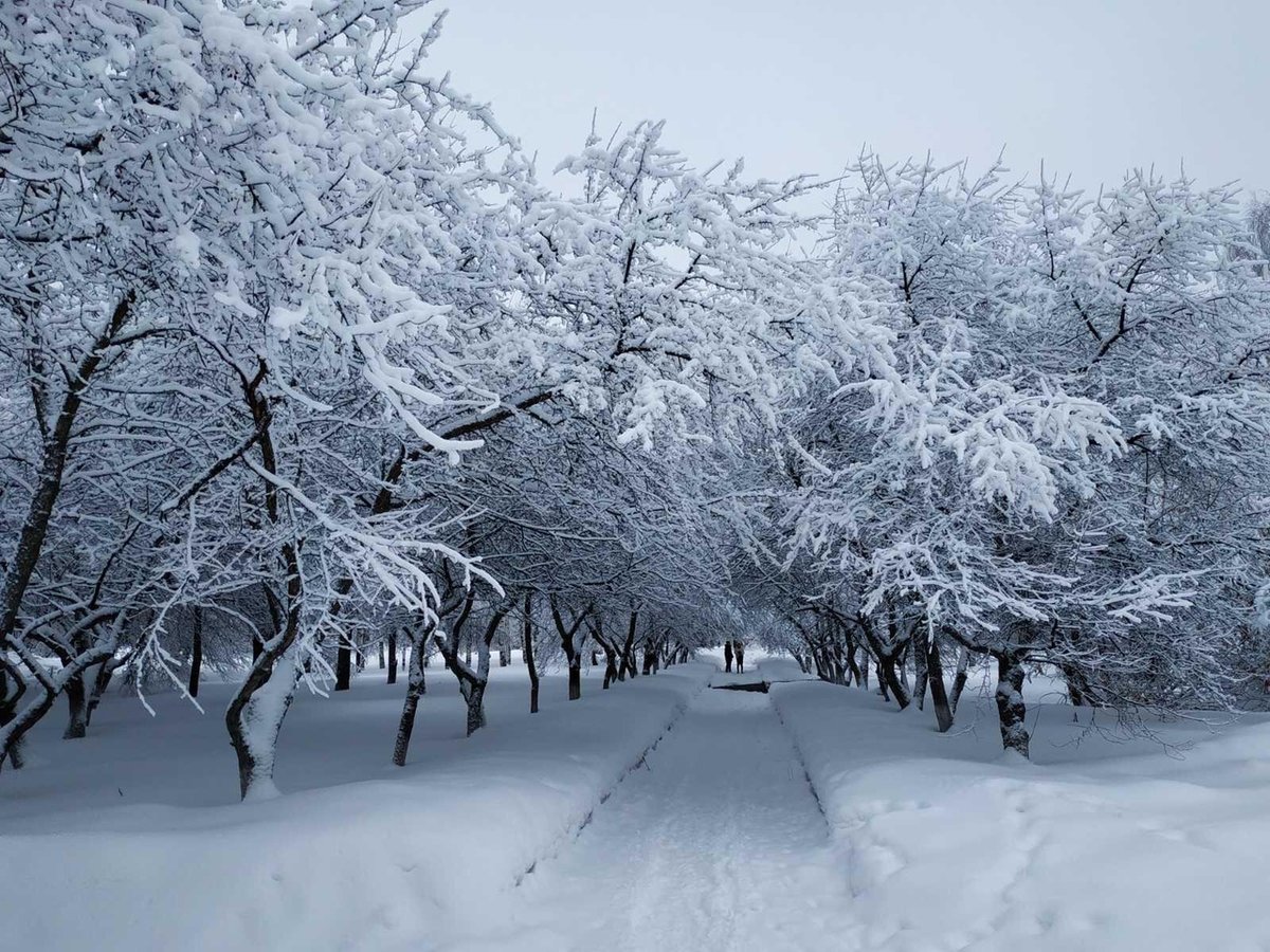 Доброе утро, любимая #МояУдмуртия