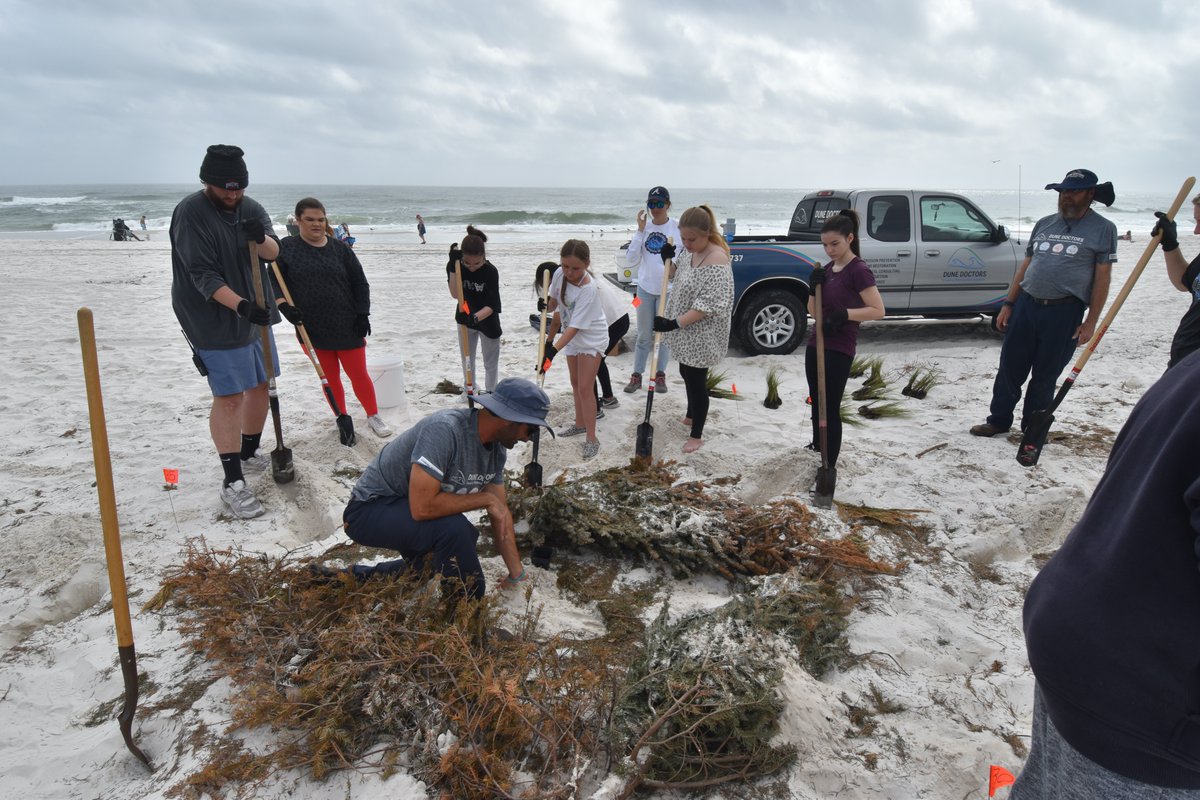 DuneDoctors's tweet photo. Today's Planting for Protection (P4P) Training was a SUCCESS! 

P4P Mentors from @GulfShoresHS &amp; @GulfShoresMS will teach 146 5th-graders how to install dune-building vegetation tomorrow at the @GulfStatePark!  

They received training from Dune Doctors &amp; Park Naturalists. https://t.co/KNiJrL4h6V