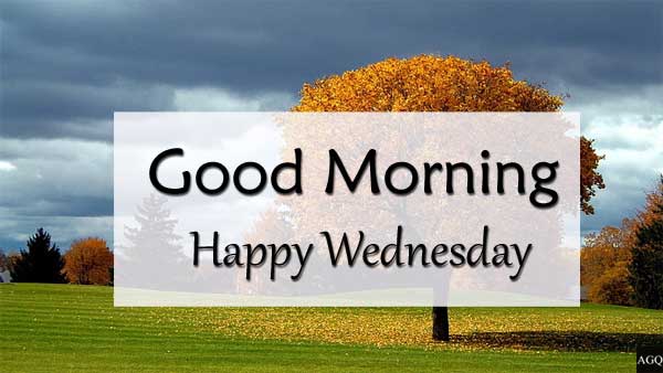 akashcc's tweet image. Have a Nice Day to All !