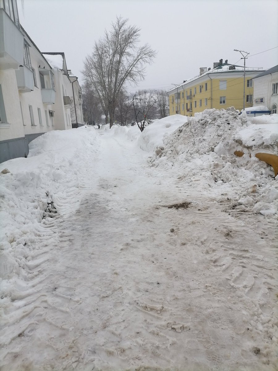 Ольга Кукушкина tweet media