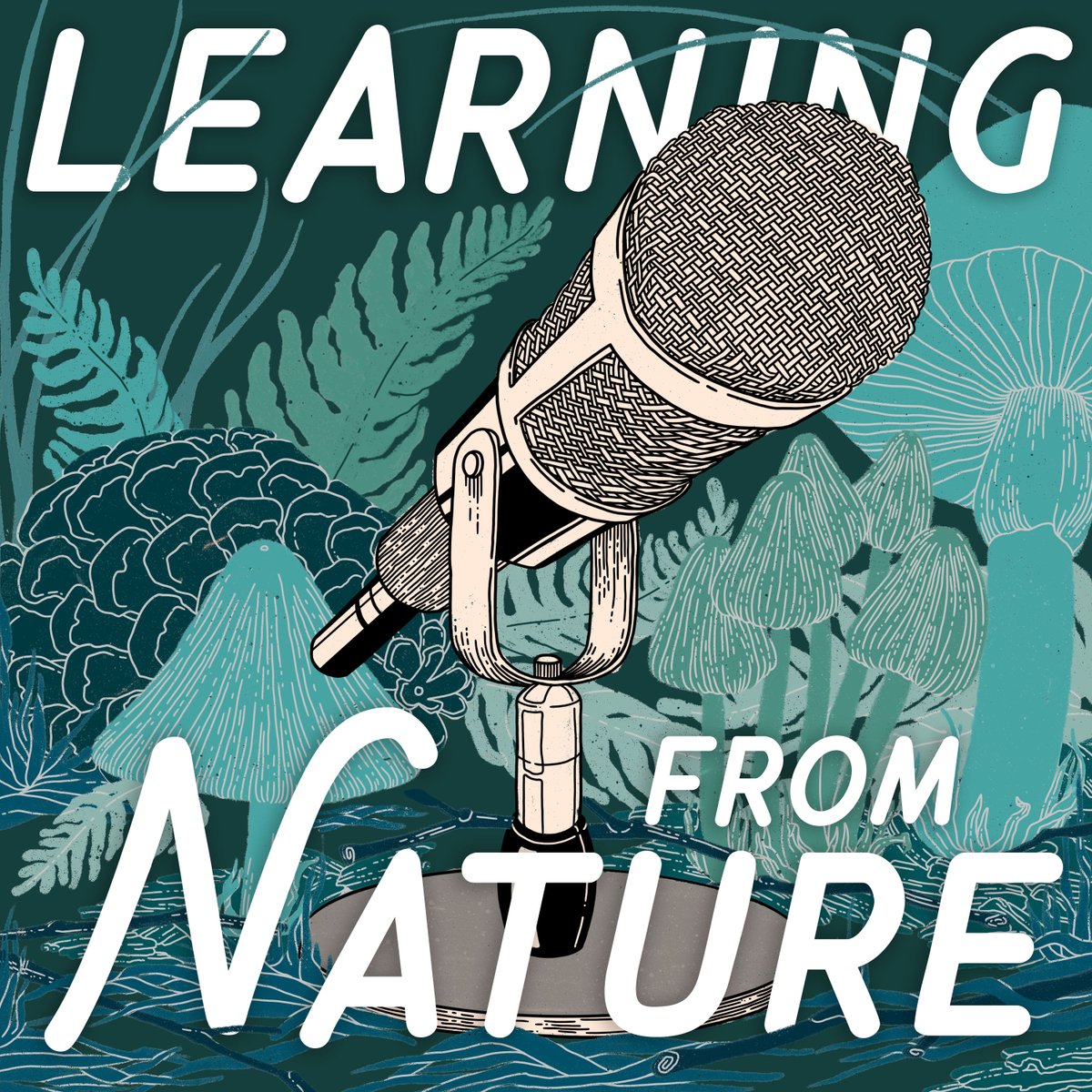 MY PODCAST IS NOW LIVE! I'm so excited to release "Learning from Nature", with new episodes out monthly. Check it out on all major #podcast sites 🌿

podcasts.apple.com/us/podcast/lea…