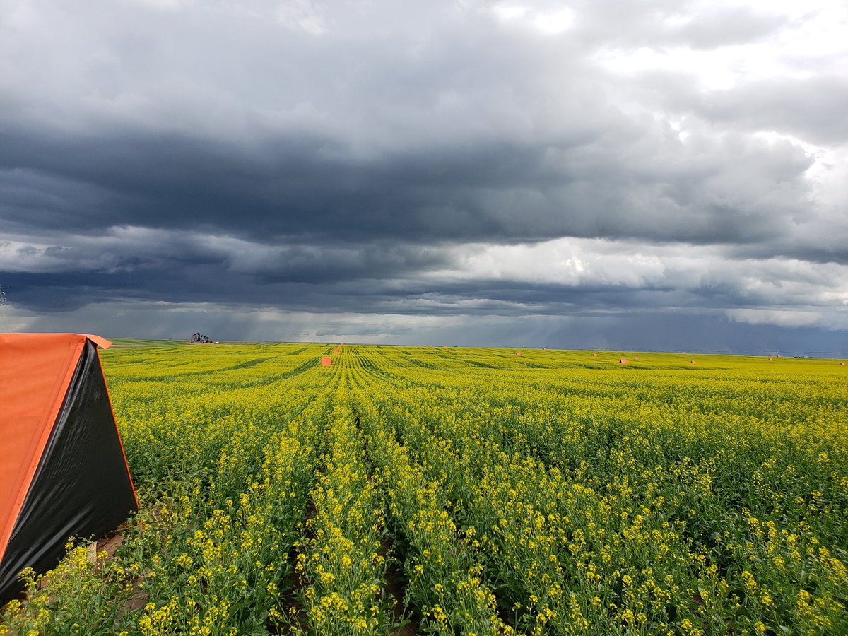 peterbossod's tweet photo. Happy #CdnAgDay! https://t.co/CQirQfSMyY