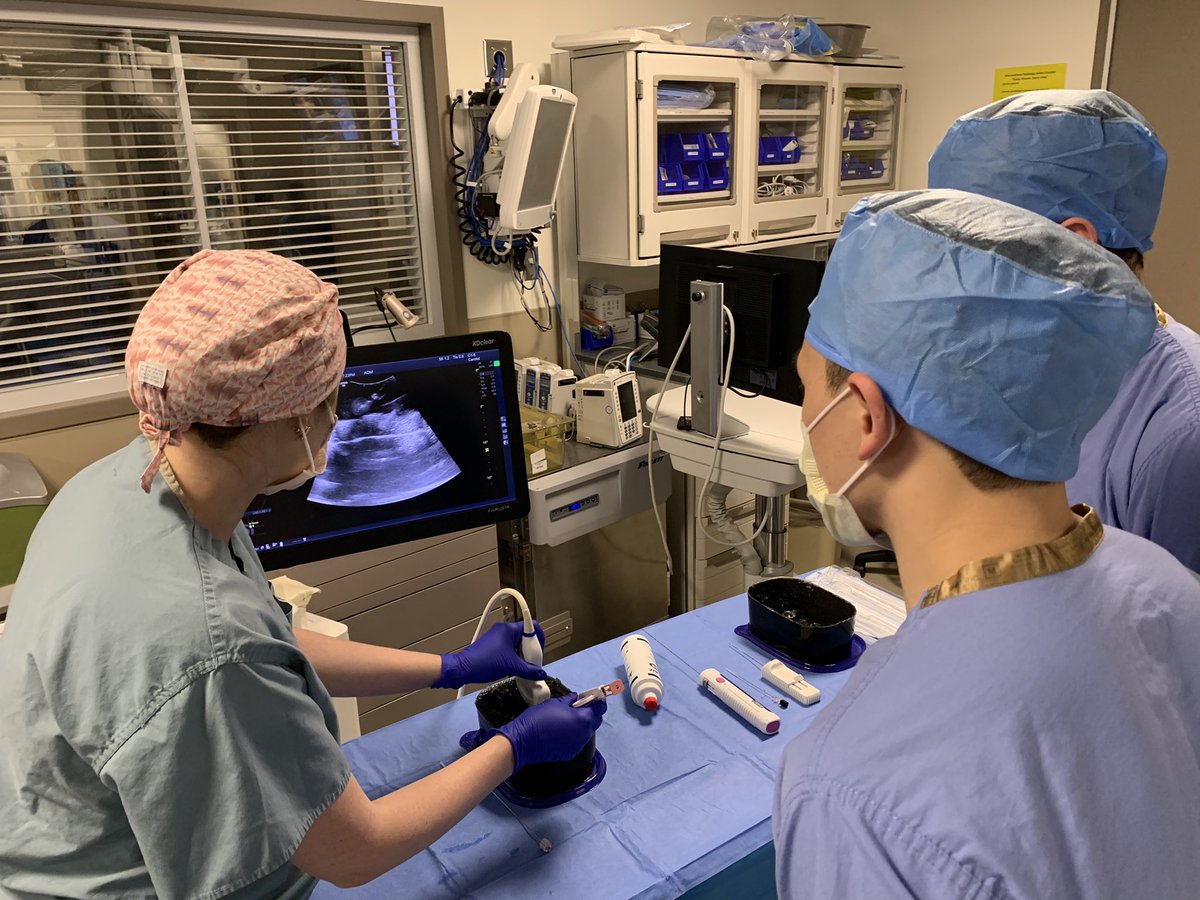JoeW003's tweet photo. Thank you @MattScheidtVIR @paragpatel_IR the @MCW_VIR residents &amp; med students for joining us as we learned about some of the “bread &amp; butter” radiology procedures with  U/S at today’s @ArgonMedical #ARMS course. #TogetherOurMissionIsClear @MCWradresidency @MCWRadiology https://t.co/8QhfExPlxf