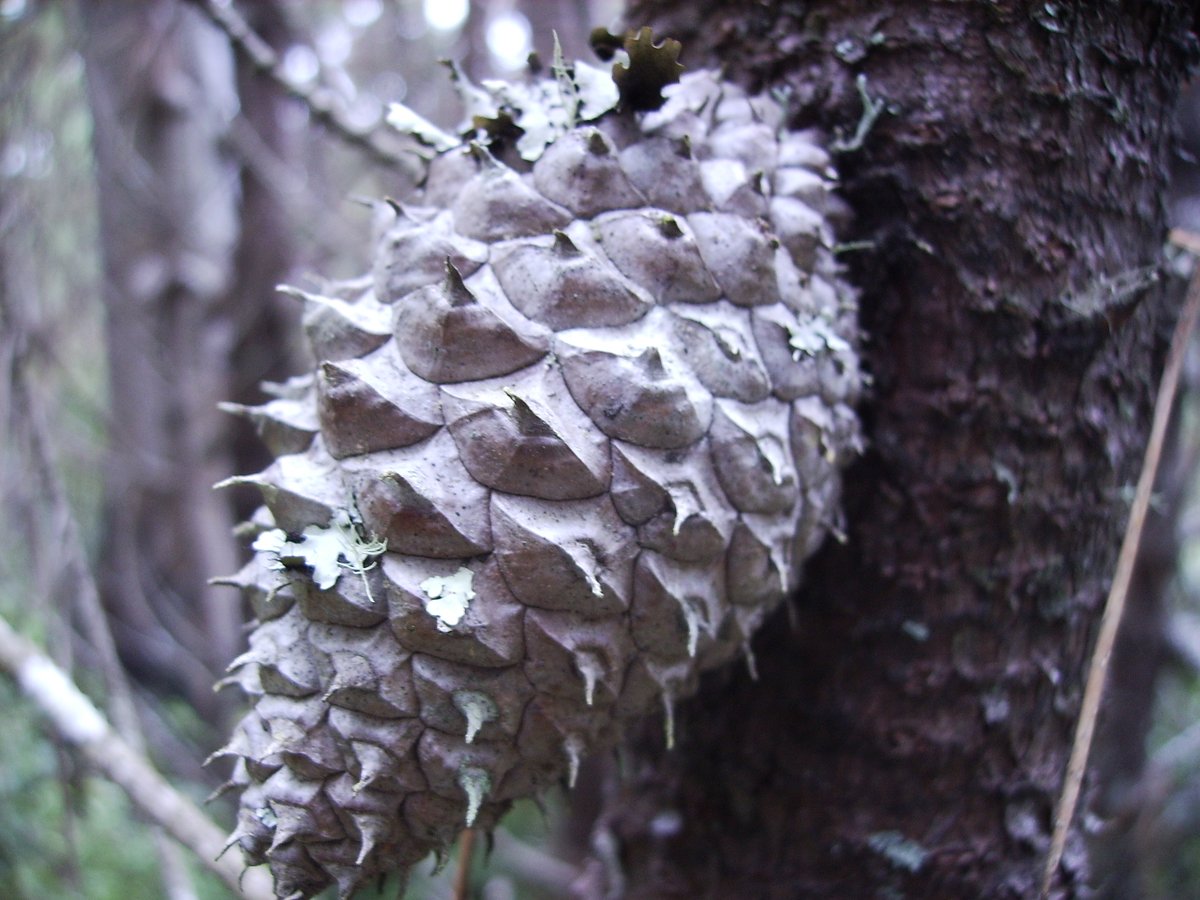 Brian J Harvey tweet media