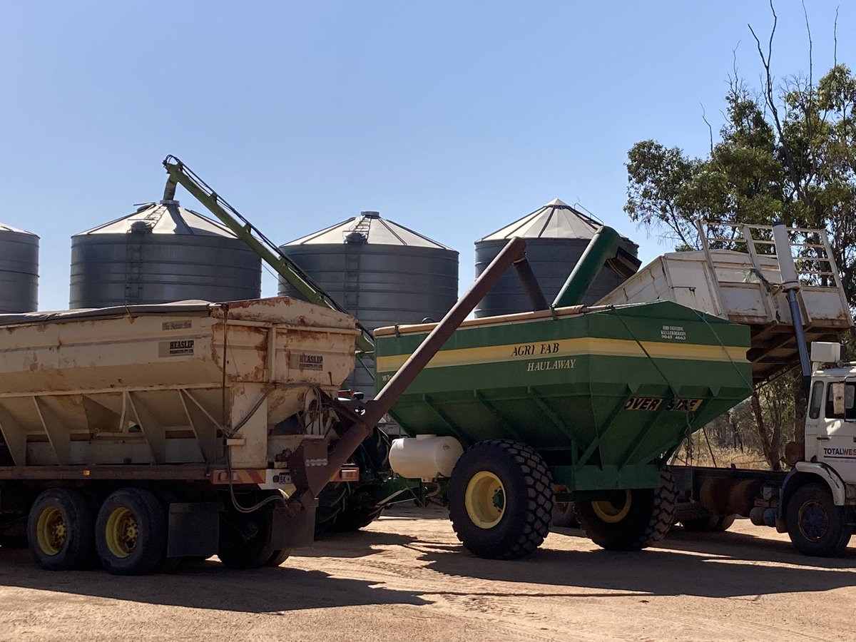 Where there’s a will there’s a way! What could go wrong!😂