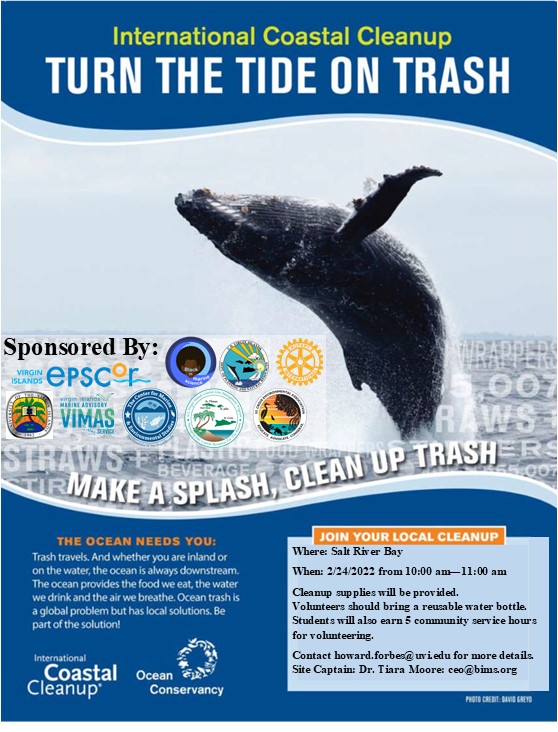 Join BIMS for a beach clean up!!! Where: Salt River Bay, St. Croix, US Virgin Islands When: 2/24/22 10am-11am Bring a reusable water bottle #BeachCleanUp #VirginIslands #USVI #StCroix #BIMSBeachCleanUp #CoastalCleanup