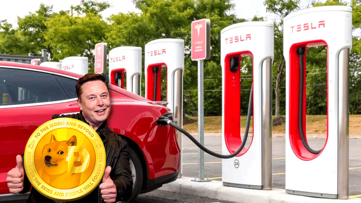 Awi10537978's tweet photo. Tesla CEO Elon Musk has announced that the company's supercharging station will accept crypto  Dogecoin as payment. Santa Monica Supercharger will be making history as the first Supercharger in Tesla's network to accept the crypto as a payment method.
#Metaverse #ElonMusk #NFT https://t.co/ca9z6X6Gqj