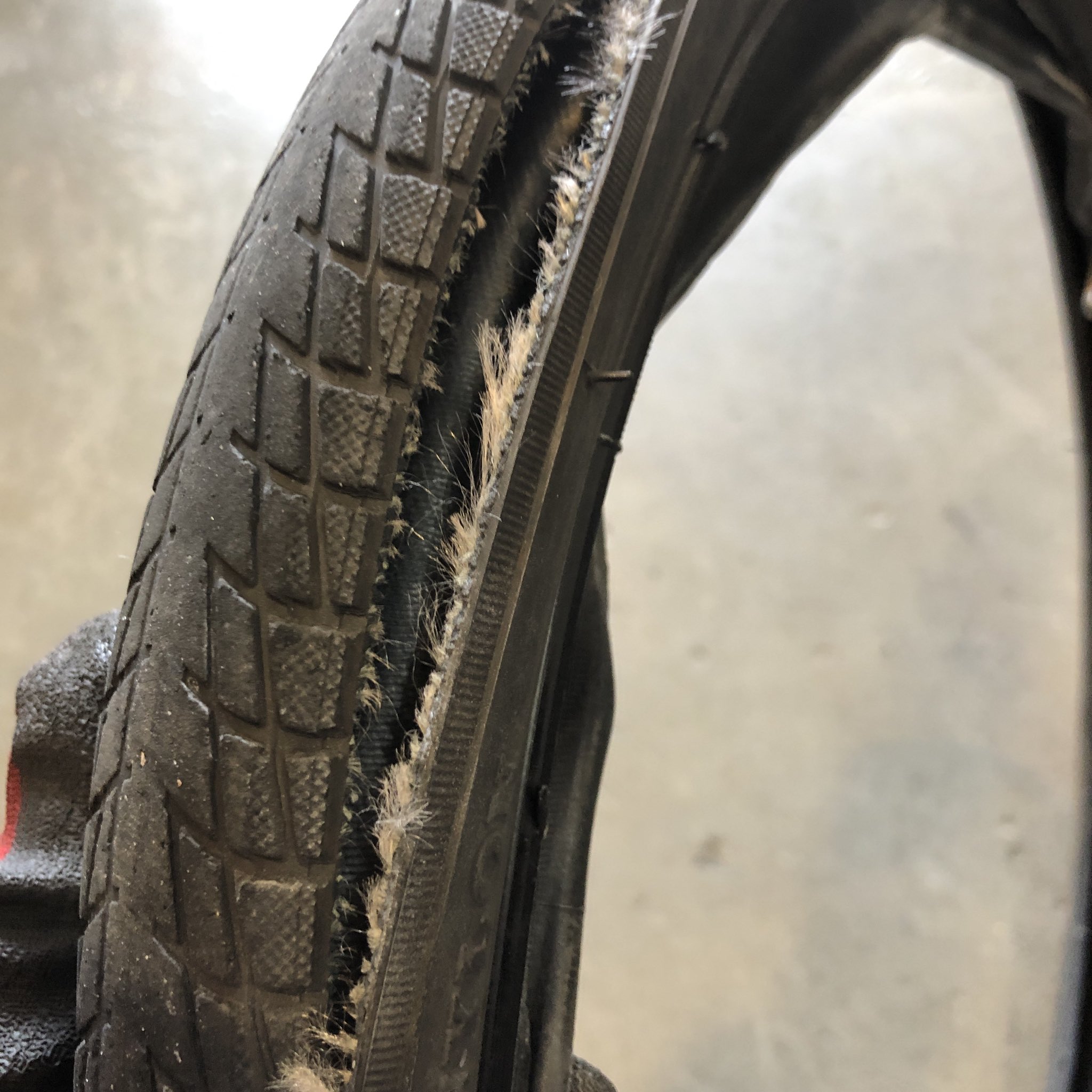 Orion 今乗ってる自転車の タイヤひび割れしてませんか ひび割れていたら 酷い場合は走行中に タイヤが破裂したりします 危ないので 早めの交換をお勧めします T Co Nrnmpfwcnl Twitter Orion 今乗ってる自転車の タイヤひび割れしてませんか ひび割れていたら 酷い場合は走行中に タイヤが破裂したりします 危ないので 早めの交換をお勧めします T Co Nrnmpfwcnl Twitter