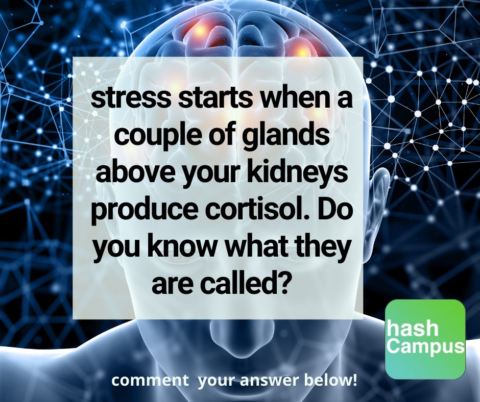 hash_campus's tweet photo. Do you know what is the main cause of stress?
In today's world, a lot of young people suffer from stress for various reasons.

#science #funlearning #funlearningforkids #augmentedreality #augmentedrealityapp #universe #curious #curiousity https://t.co/FFwIFBfzTa