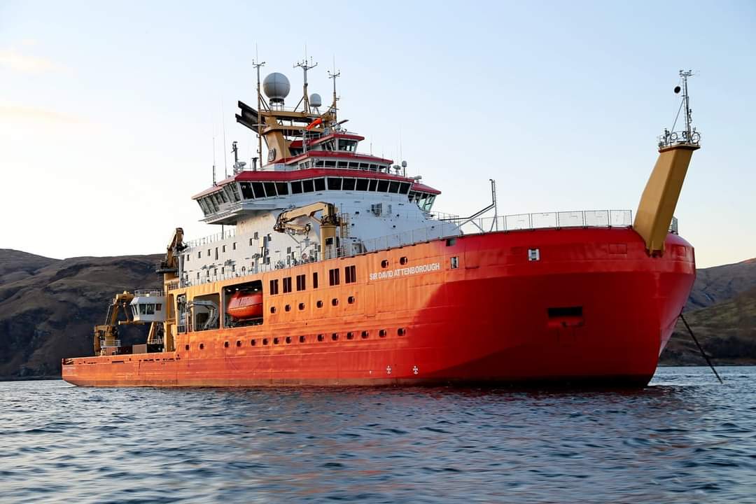 British Antarctic Survey 🐧 tweet media