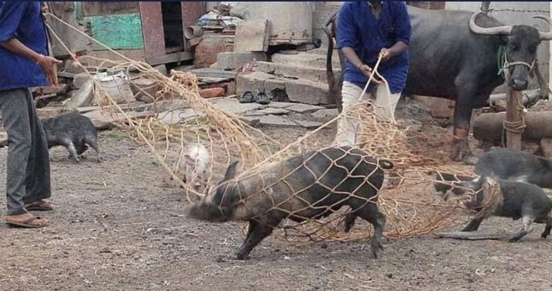 #ED नबाब ललिक पर शिकंजा कसते हुए।🤓
पापी-पापी पापी छू लो 😆😆😆