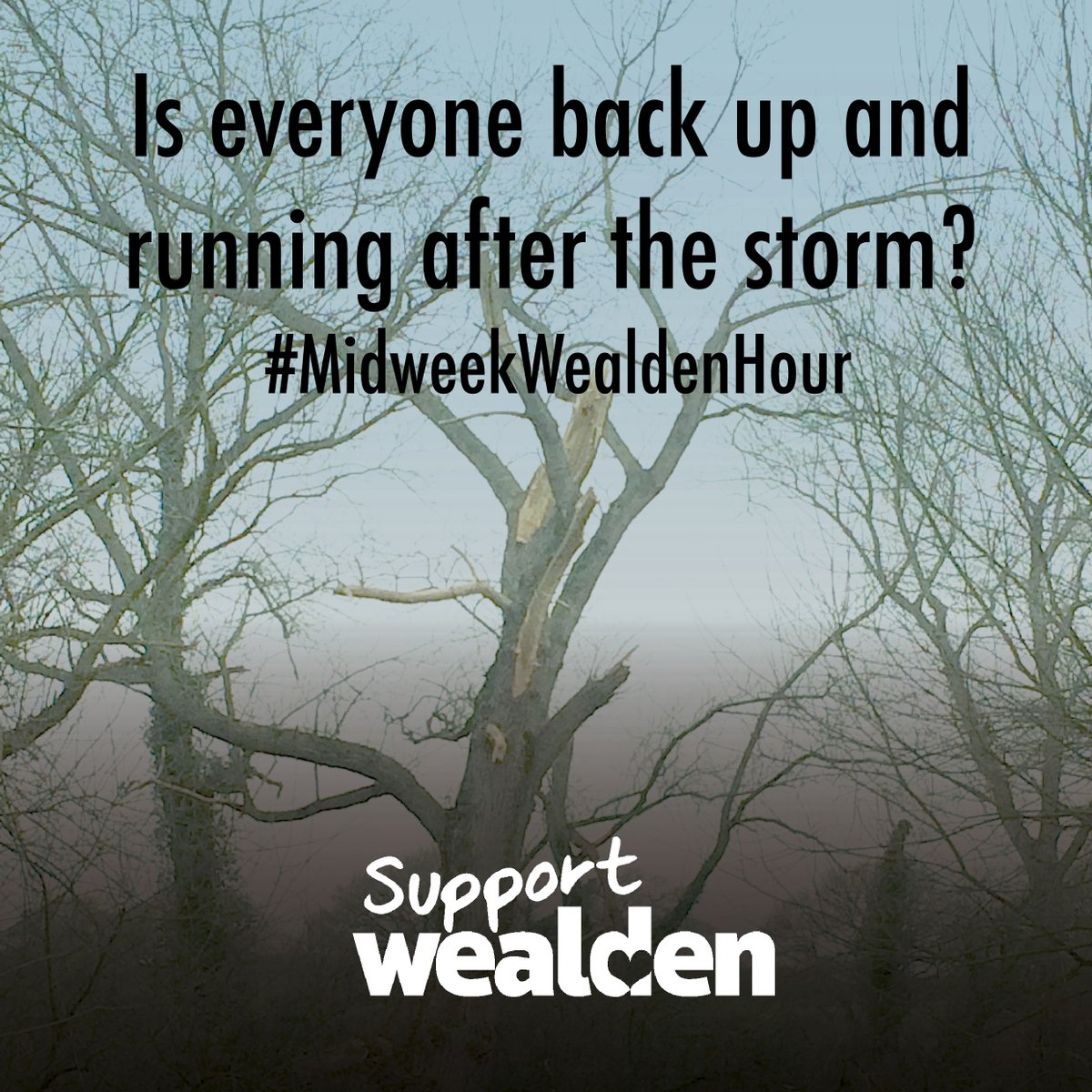 How did your business fare in the storm? Join in the conversation here, on Instagram or Facebook every Wednesday between 12.30 and 1.30. Show local businesses your support :D
#midweekwealdenhour