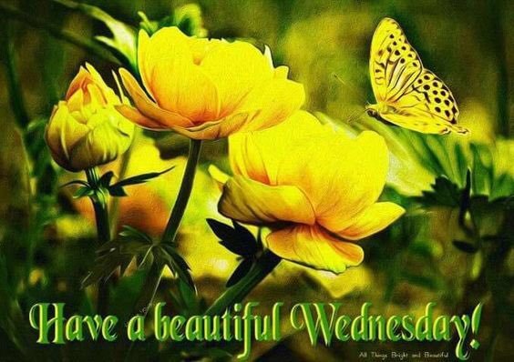 @Iluvinspireu @TamiK_Colorado @ASandouga @cbain00 @RoseVioletDeb @Australien14 @antoniomanager @madscraftsite @AzharUom @Witchhuntdiary @BeatriceLacy @JackConnie @conniestephens5 Hi Jane.  Wishing you a great day!!!!!  💐💛💐💛💐💛💐