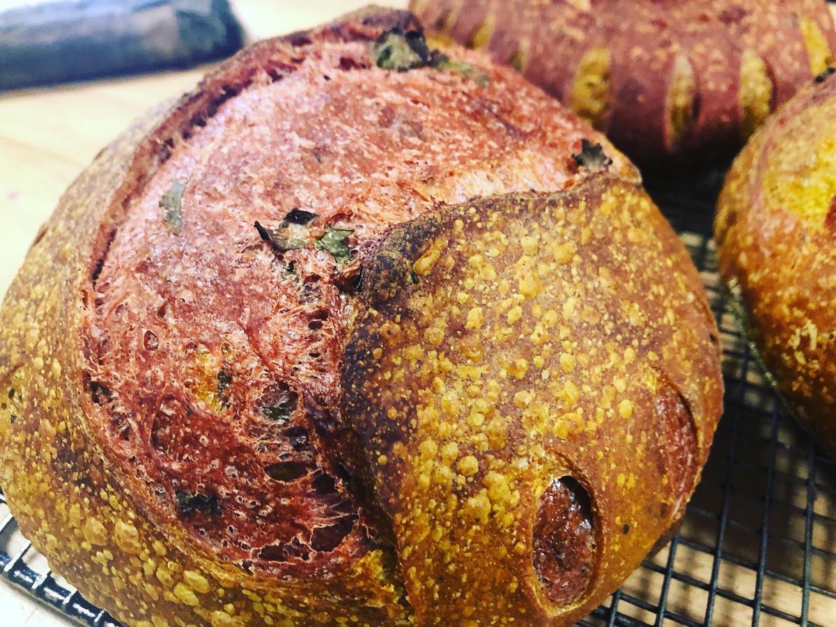 Mt_ChaseLodge's tweet photo. BEET BREAD IS BACK! Beet and Carrot Turmeric Sourdough with Kale. 

#sourdough #bread #food #Maine #visitMaine #lodge #vacation #Maineisgorgeous #MaineSportingCamp #dining  #bedandbreakfast #MtChaseLodge https://t.co/4TQzSN8yfL