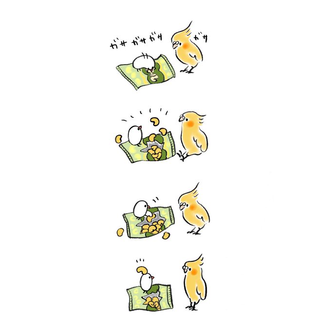 オカメとぶんちょ 