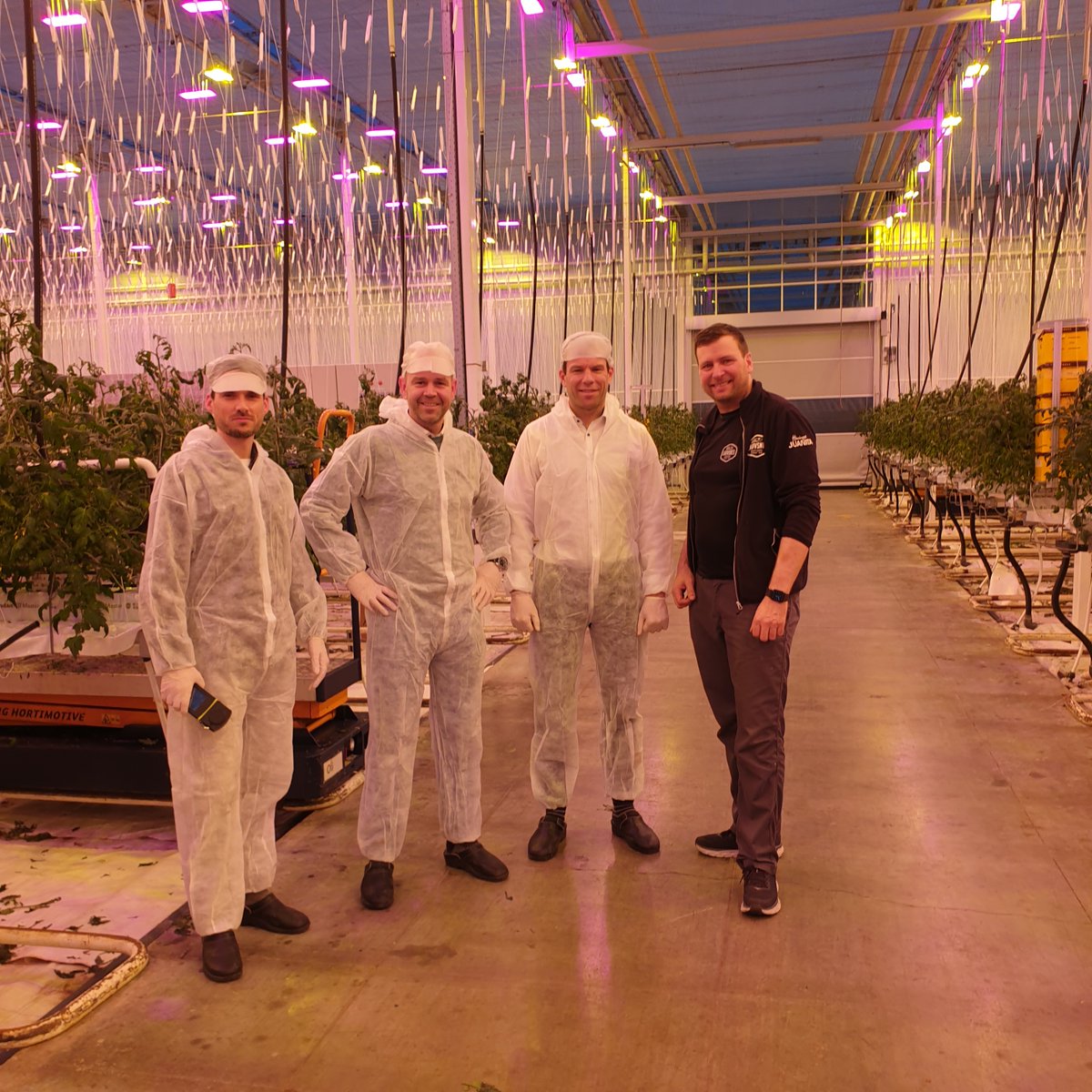 HORTILED® Top Intense results in 35% energy savings while maintaining the same light level, and enables Lauvsnes Gartneri grow Norwegian tomatoes yearround. Also, lighting during the summer months is now easier, which generates a higher yield! hortilux.com/product/hortil…