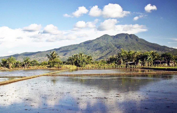 “The bedtime stories that my Komodo-dragon-hunting lola told did not feature charming woodland creatures; she imparted fables...acted out by characters like justice-serving goddesses, bloodthirsty man-sized bats, and conniving mosquitoes...”

reedhilderbrand.com/practice/here_…