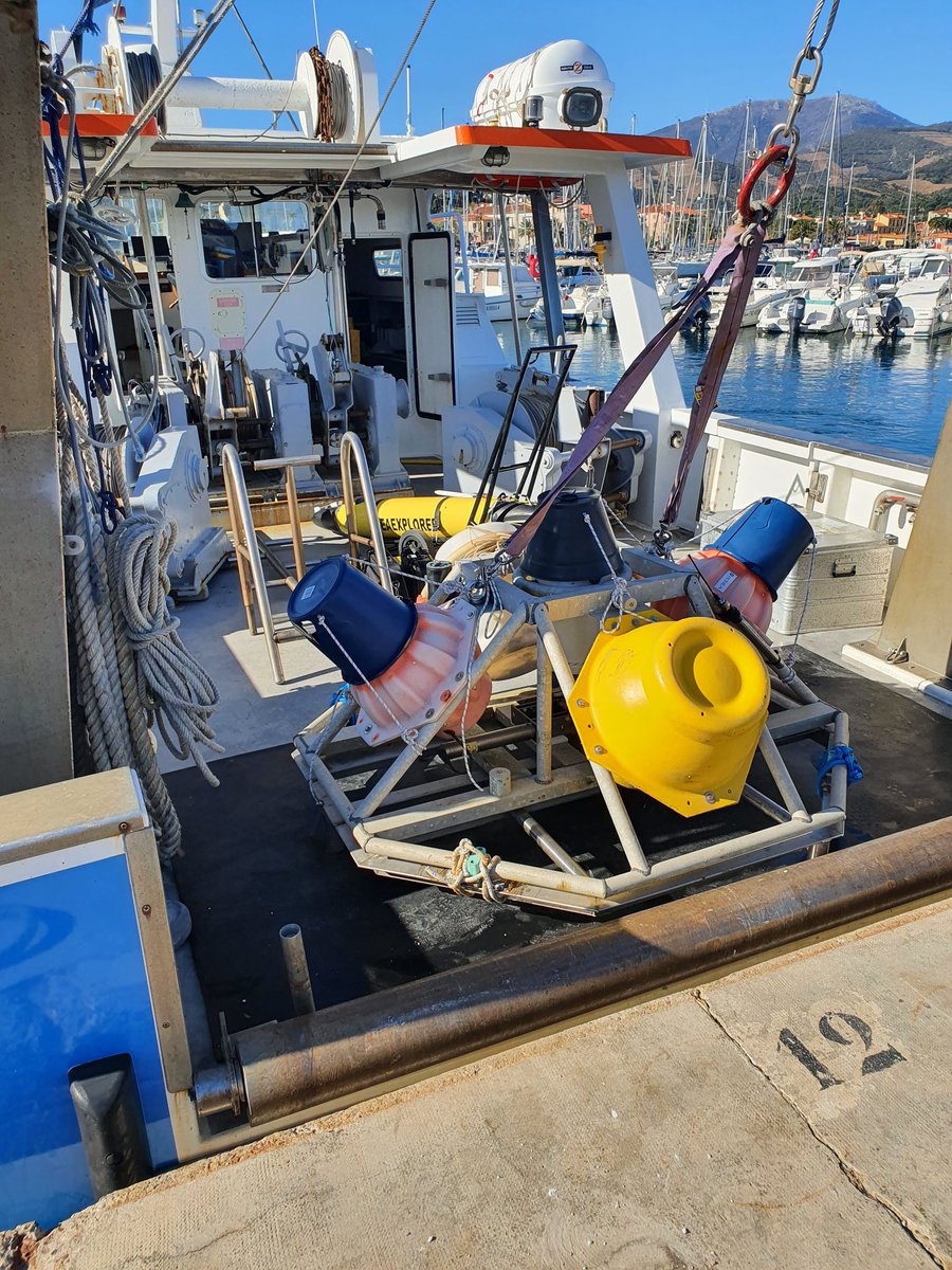 Bourrin François tweet media