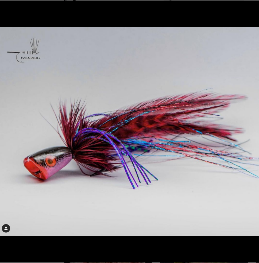 FarmsWhiting's tweet photo. Great looking popper 
tied by @svenddiesel
When @semperfli_flytying posts their flash blend (Colorado mix &amp; black blend) and you happen to have a nicely died claret saddle out ….. well you see what happened.
#flytying #svendflies #whitingfarms #flyfishing https://t.co/UcYAsM31UH