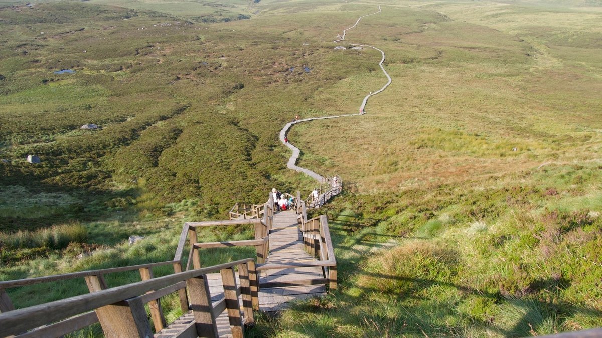 CuilcaghTrail's tweet photo. One, two... four hundred and fifty! 

It’s a small step to a Giant Adventure at Cuilcagh Boardwalk. 

Plan your Spring getaway now at https://t.co/QMPpSc3Ddz

#MyGiantAdventure #EmbraceAGiantSpirit #StaycationIdeas #DiscoverNorthernIreland #MyCuilcaghBoardwalk https://t.co/lCrX2Rtvr1