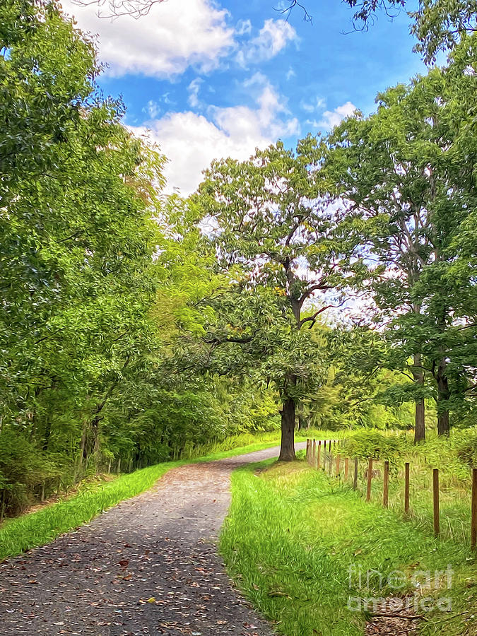 KerriFar's tweet photo. Summer along a trail in #PulaskiCountyVA ~ https://t.co/znXTcgzNZA ~ #VirginiaViews #NewRiverNature #NatureMoments ~ https://t.co/T7Co3TALZI https://t.co/QyqFt93A1z