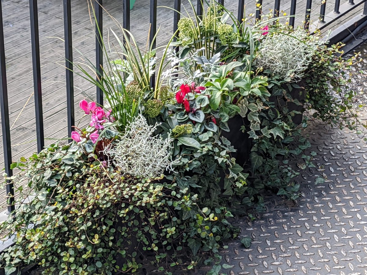 living_windows's tweet photo. A winter refresh on these beautiful balcony planters! πΊ
Want to know more about our membership? https://t.co/TDOPI6SAxZ
#livingwindows #windowboxes #valentinesideas #valentinesgift #eastlondon #hackney #windowplants #windowgarden #balconygarden https://t.co/ntwx2sn0CA
