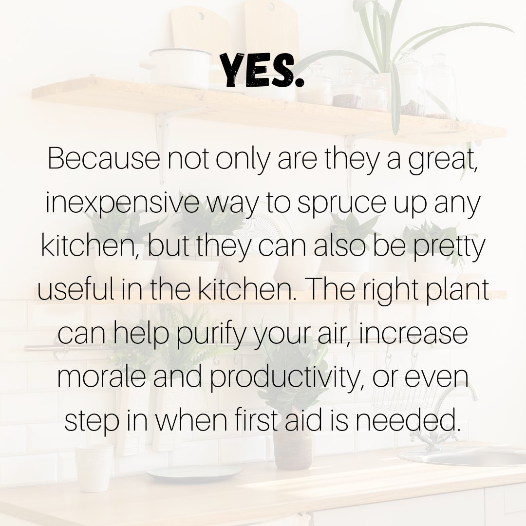 insperior's tweet photo. Is it good to have plants in the kitchen??
.
.
Swipe to know.
.
.
#architectures #architecturemagazine #architectureinspiration #architect #architecturedesign #architecturephotography #interiors #interiordecor #interiordesigner #interiortips #interiordecor #interiordecortips https://t.co/oipu6P10ZV