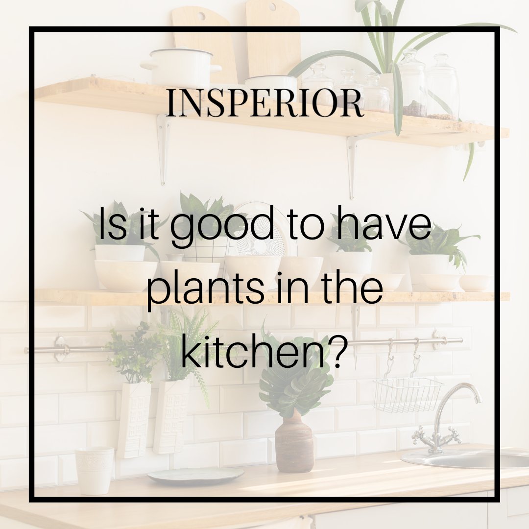 insperior's tweet photo. Is it good to have plants in the kitchen??
.
.
Swipe to know.
.
.
#architectures #architecturemagazine #architectureinspiration #architect #architecturedesign #architecturephotography #interiors #interiordecor #interiordesigner #interiortips #interiordecor #interiordecortips https://t.co/oipu6P10ZV