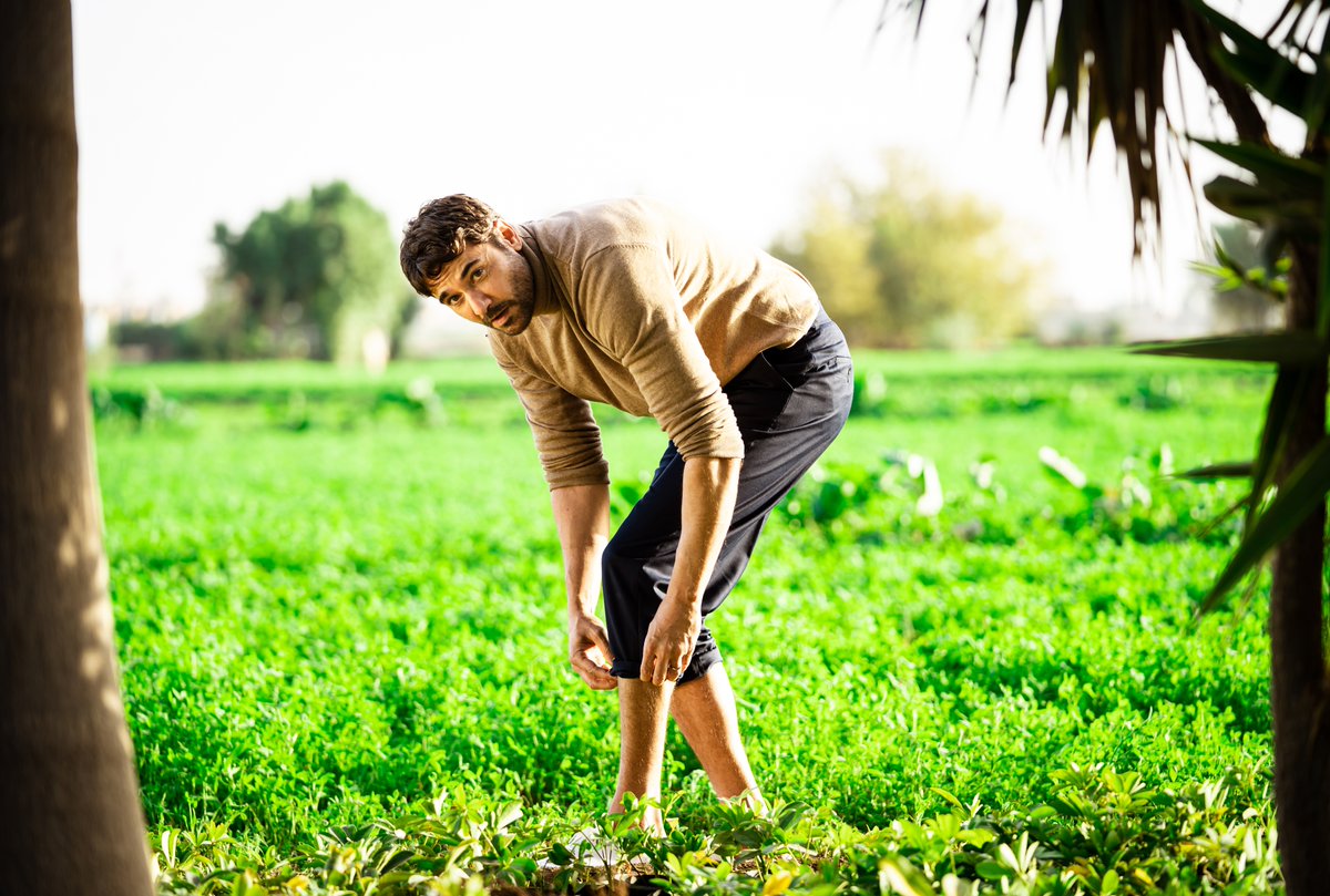 Netflix MENA tweet media