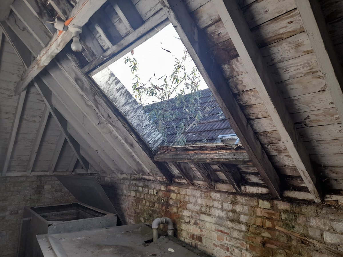 InvasiveWM's tweet photo. Here's a few images of Buddleia also known as butterfly-bush one of our area managers has been working on.

We don't claim that the extent of this damage was caused by the Buddleia, however we do believe it has played a part.

#Invasive #Management #Surveyor #Construction https://t.co/vj7t7Cvrna