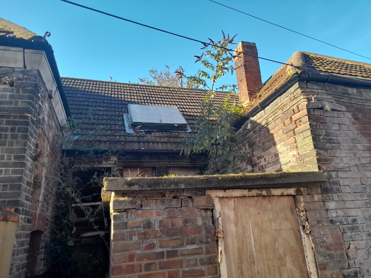 InvasiveWM's tweet photo. Here's a few images of Buddleia also known as butterfly-bush one of our area managers has been working on.

We don't claim that the extent of this damage was caused by the Buddleia, however we do believe it has played a part.

#Invasive #Management #Surveyor #Construction https://t.co/vj7t7Cvrna