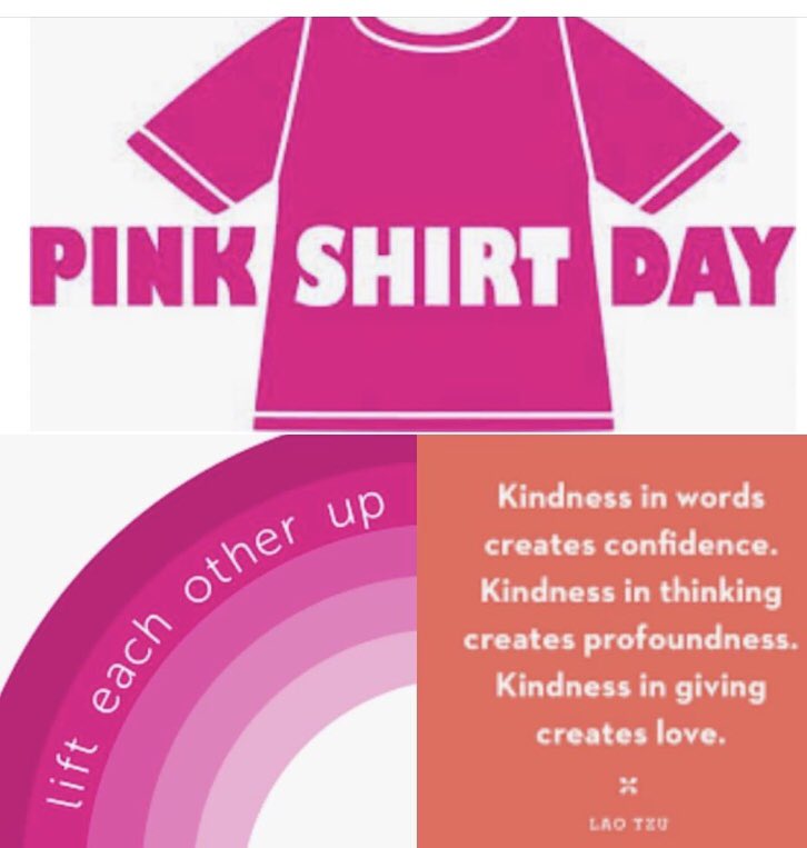 Pink Shirt Day Maplehurst Middle School