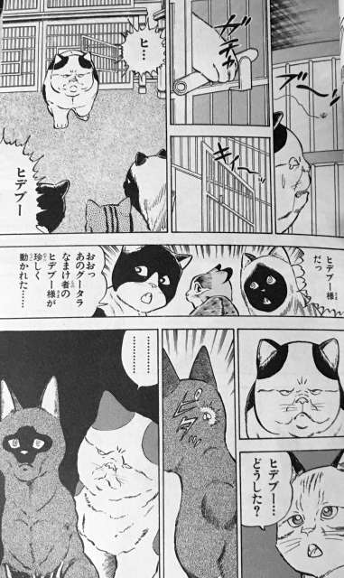 ヒデブー様最高すぎだろ…ブワシイッ
さあみんなも古本を探して手に入れるのだ 