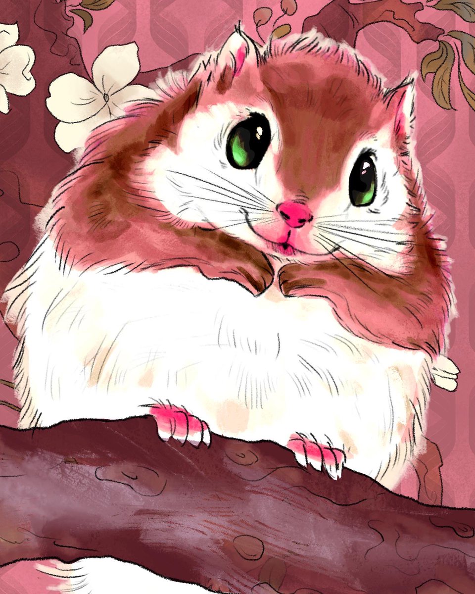 Mysterverse 玄宇宙 tweet media