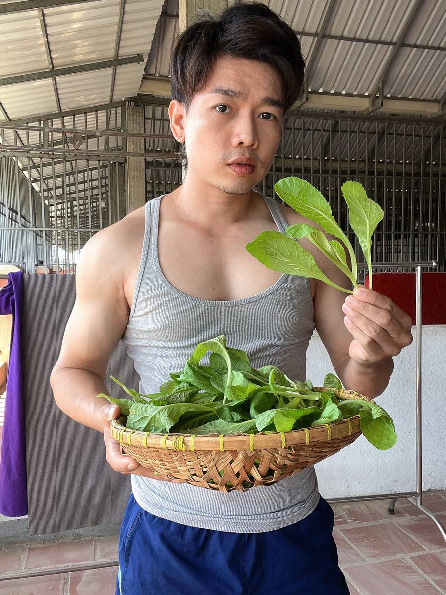 Vichet_Chet's tweet photo. រៀនដាំបន្លែ រៀនដាំដេីមជីវិត https://t.co/giu2izY6AW