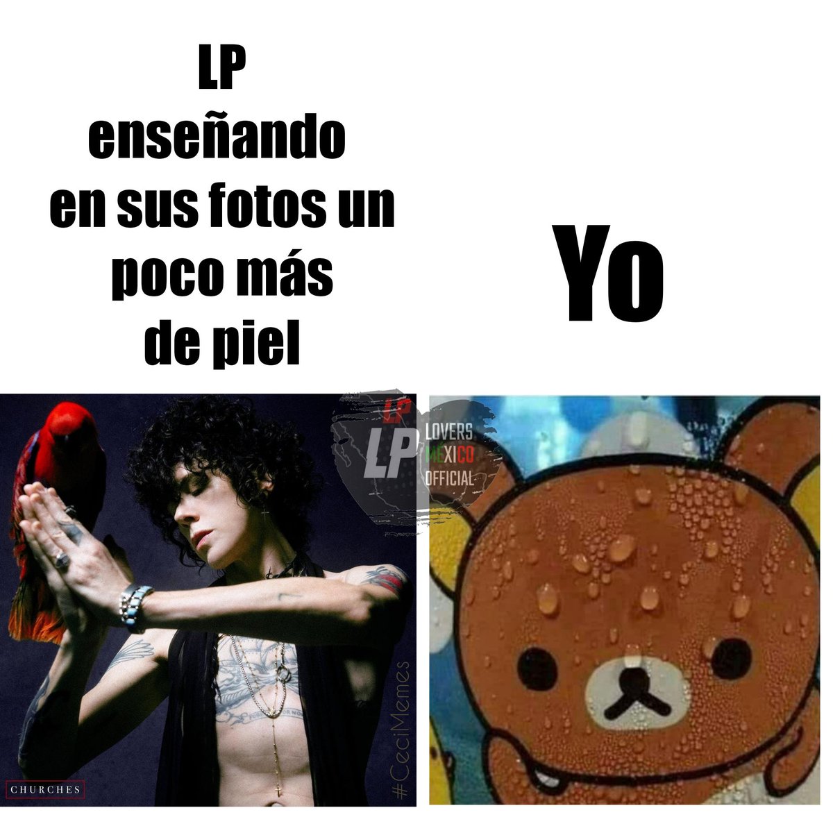 LPLoversMexico2's tweet photo. Esto fue lo mejor del #MartesDeMemes
#TheOneThatYouLove
#LPRevelation
#LPeople
#LPWorldWide
#SoyLPLoversMexico
#TodoPorAmorALP
#iamlpofficial
#MasQueUnClubUnaFamilia
#MexicoIsLostOnYou
#CeciMemes https://t.co/7QdXzmwCrm