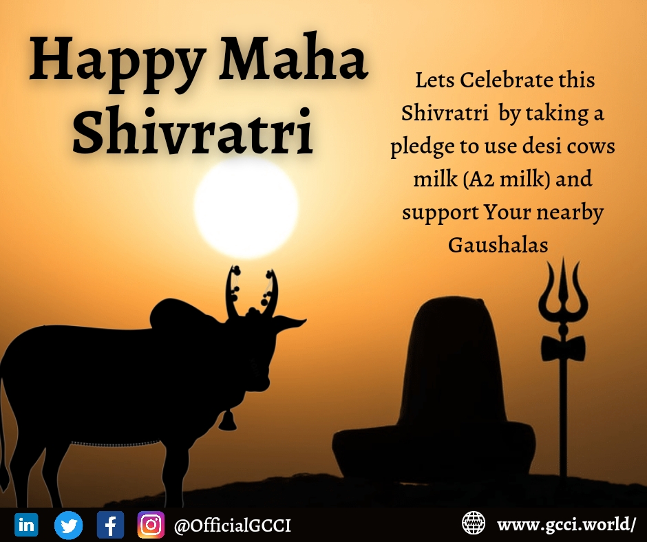 OfficialGCCI's tweet photo. Maha Shivratri holds a special significance in Bharat. This year it's celebrated on March 1. Let us use Desi Cow Milk (A2 Milk) from nearby gaushalas and give it to SHIVJI. #GCCIMahaShivratri #GCCI https://t.co/xw64eShDZ9