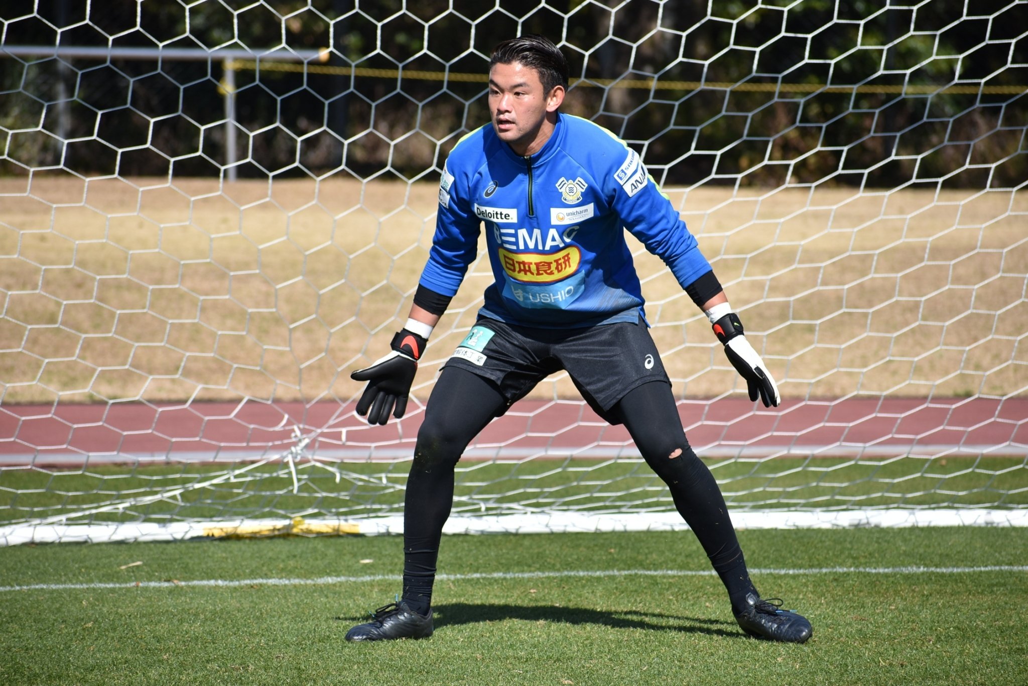 今川正樹 Doyagori Twitter