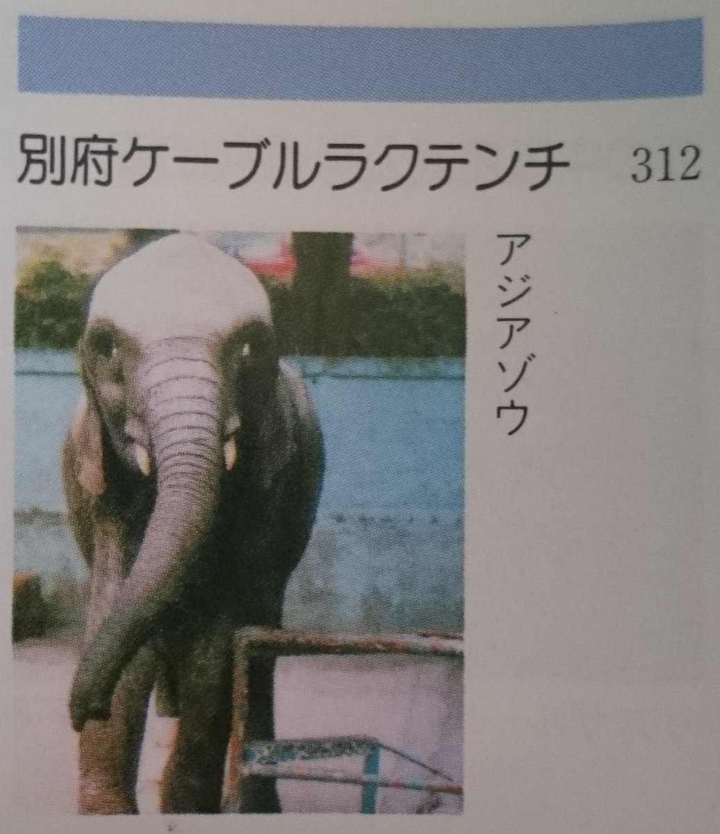 FMRCOLxaAAI-ZLj.jpg?format=jpg