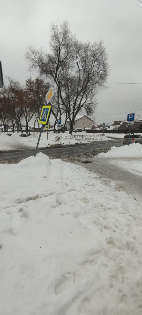 Елизавета Пустовалова tweet media