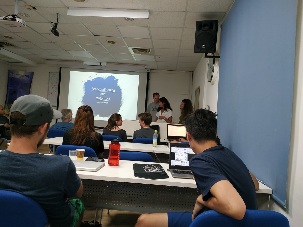 eliteBMNprogram's tweet photo. Did you know that our program has an intercultural summer school? We partner with the Ed­mond &amp; Lily Safra Center for Brain Sci­ences of The He­brew Uni­versity of Jerusa­lem in Eilat, Israel to promote international scientific discourse. 🌏🌍🌎 https://t.co/NEPqN48WPz
