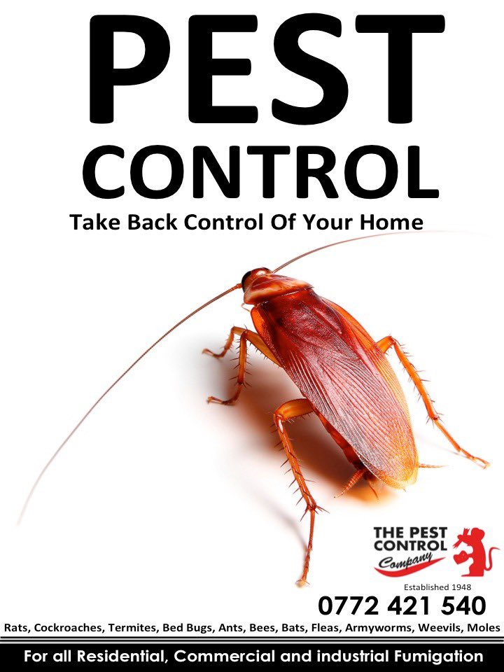 PestControlZW tweet picture