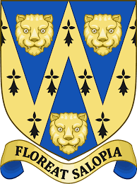 InspDKing's tweet photo. Happy Shropshire Day to our WMP colleagues over the way from all at North Worcestershire LPA. @SouthShropCops @NorthShropCops @TelfordCops @ShrewsburyCops https://t.co/gbZtwwAlT3